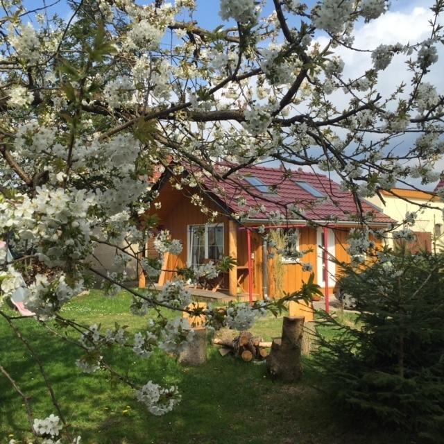 Ferienwohnung Niesky חדר תמונה